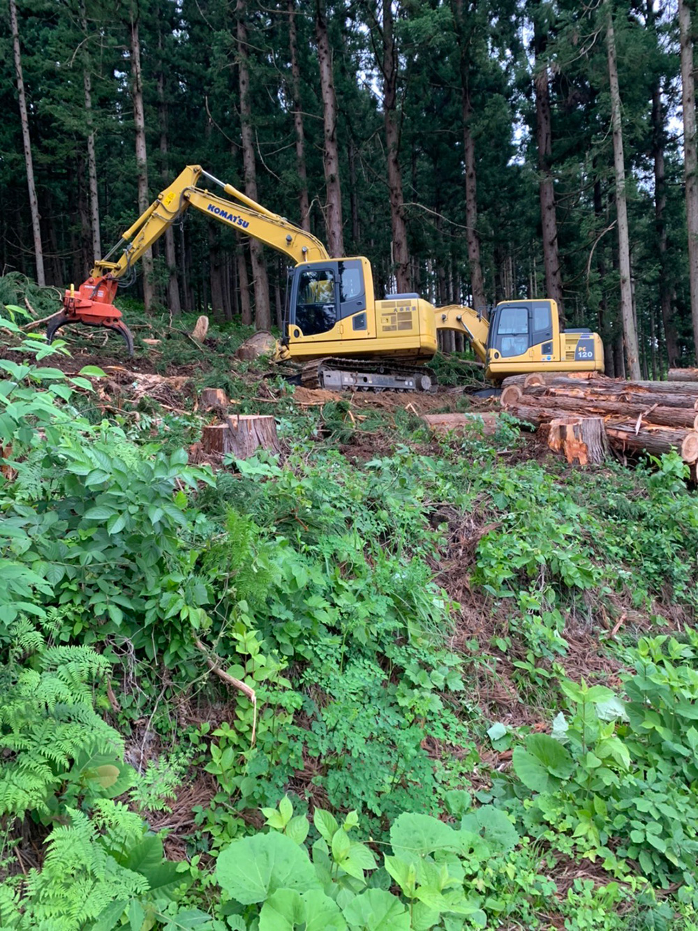 大車興業│山形県西川町の立木伐採・解体工事・重機工事・除雪